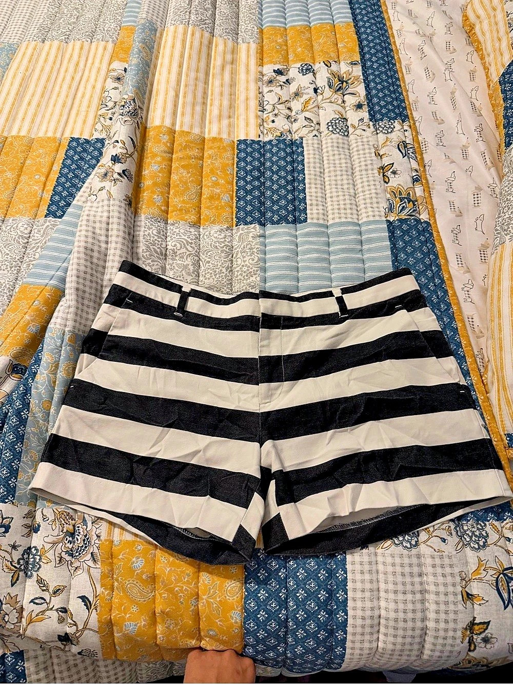 Banana Republic Striped Bermuda Shorts in Black & White Size 6P
